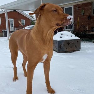 Meet your Posher, Robert